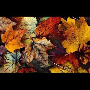 Meet your Posher, Taryn